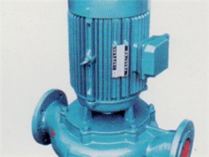 HLB系列管道式無堵塞排污泵