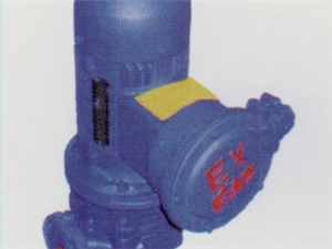 HLB系列立式管道離心油泵