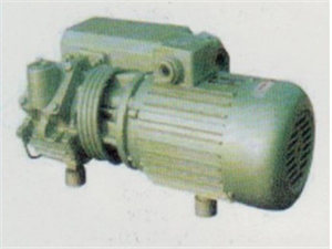 HLB系列單級(jí)旋片式真空泵