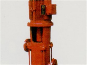 HLB系列立式多級消防泵 (2)